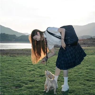 丝黛芬妮